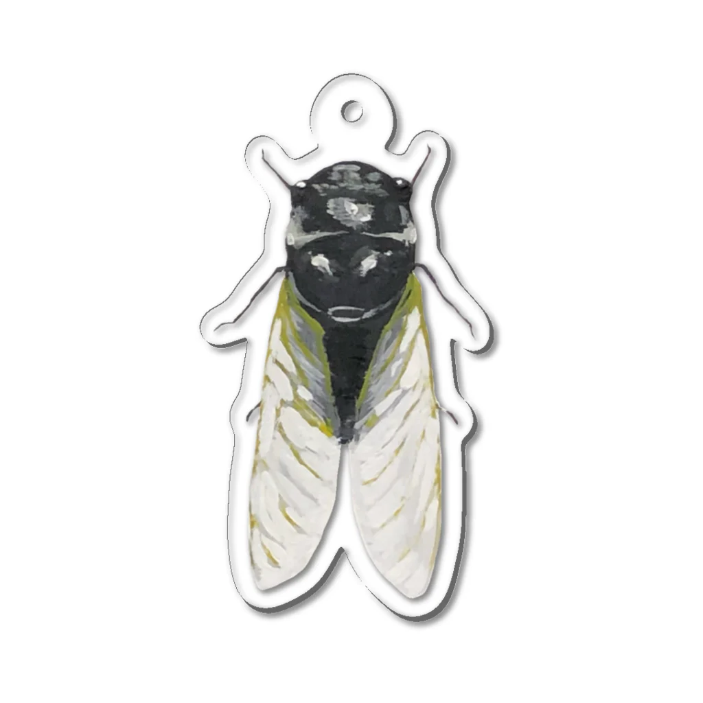 🐶シュナといろいろ🎨のクマゼミ Acrylic Key Chain