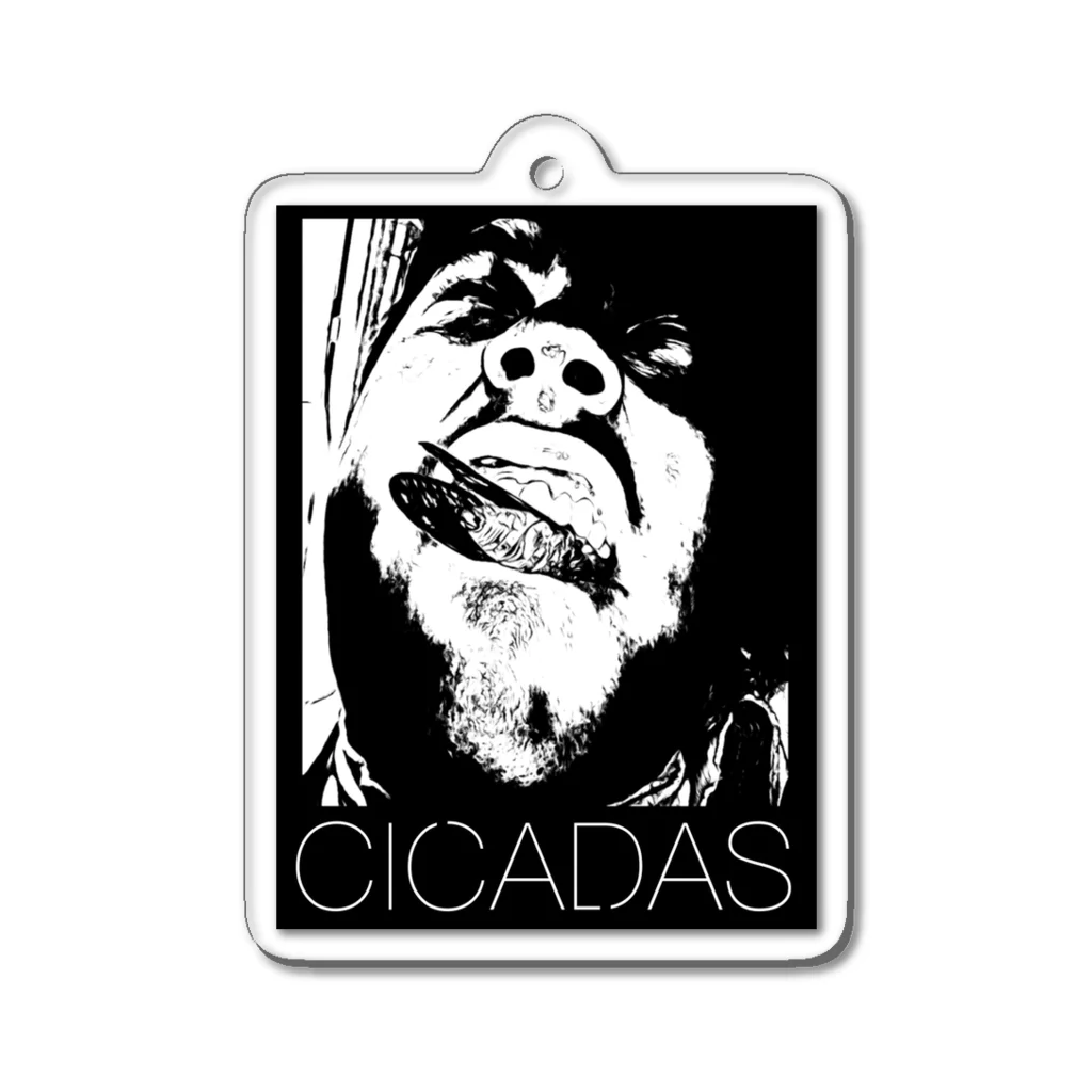 cicaDasのCICADS公式T アクリルキーホルダー