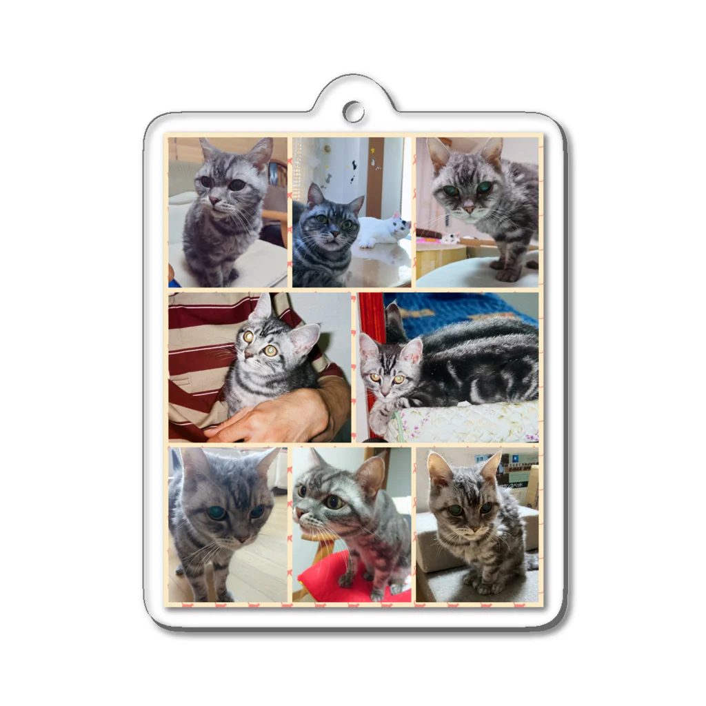 9catsのSuzu♡ Acrylic Key Chain