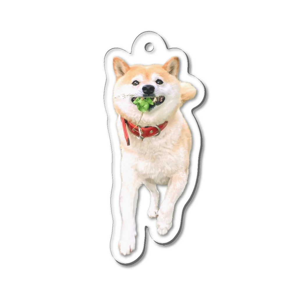 inubotのいつも心に犬 Acrylic Key Chain