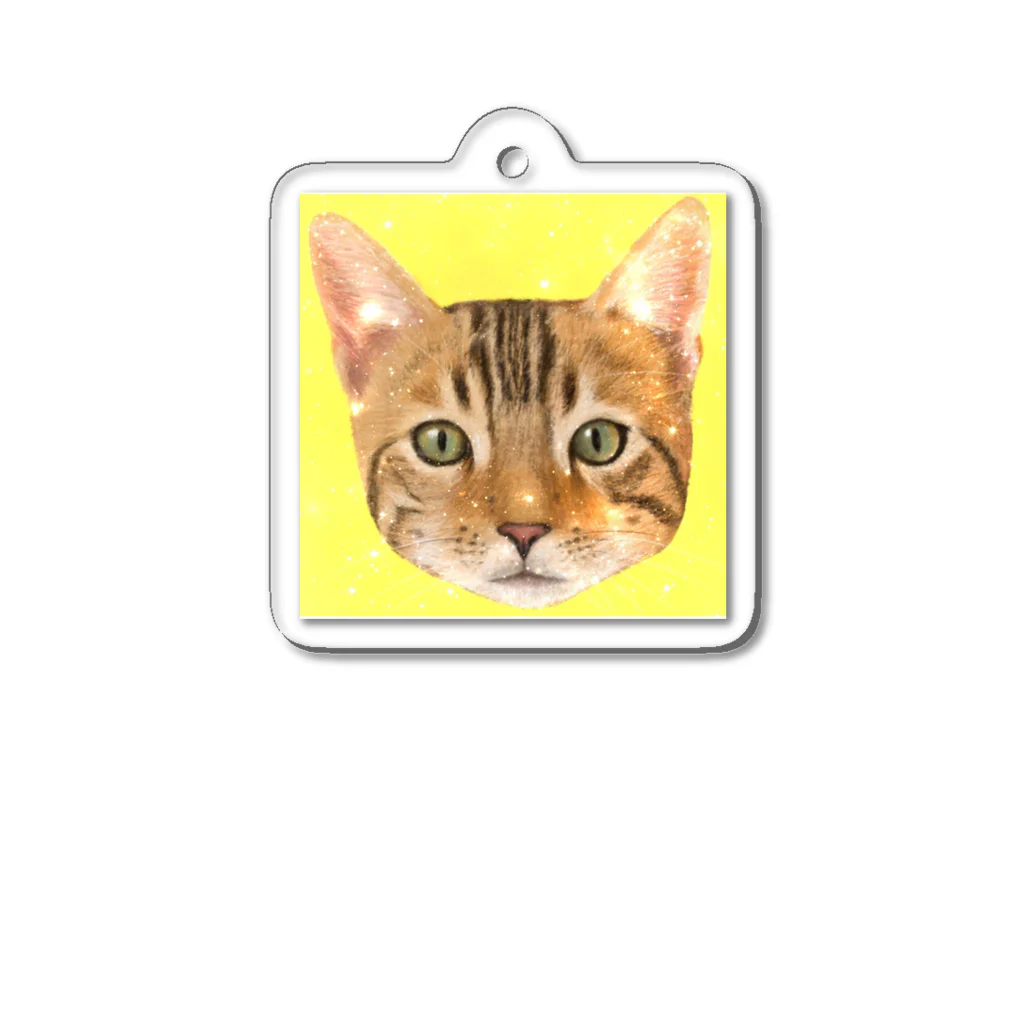 utouch_のねこ【顔】 Acrylic Key Chain