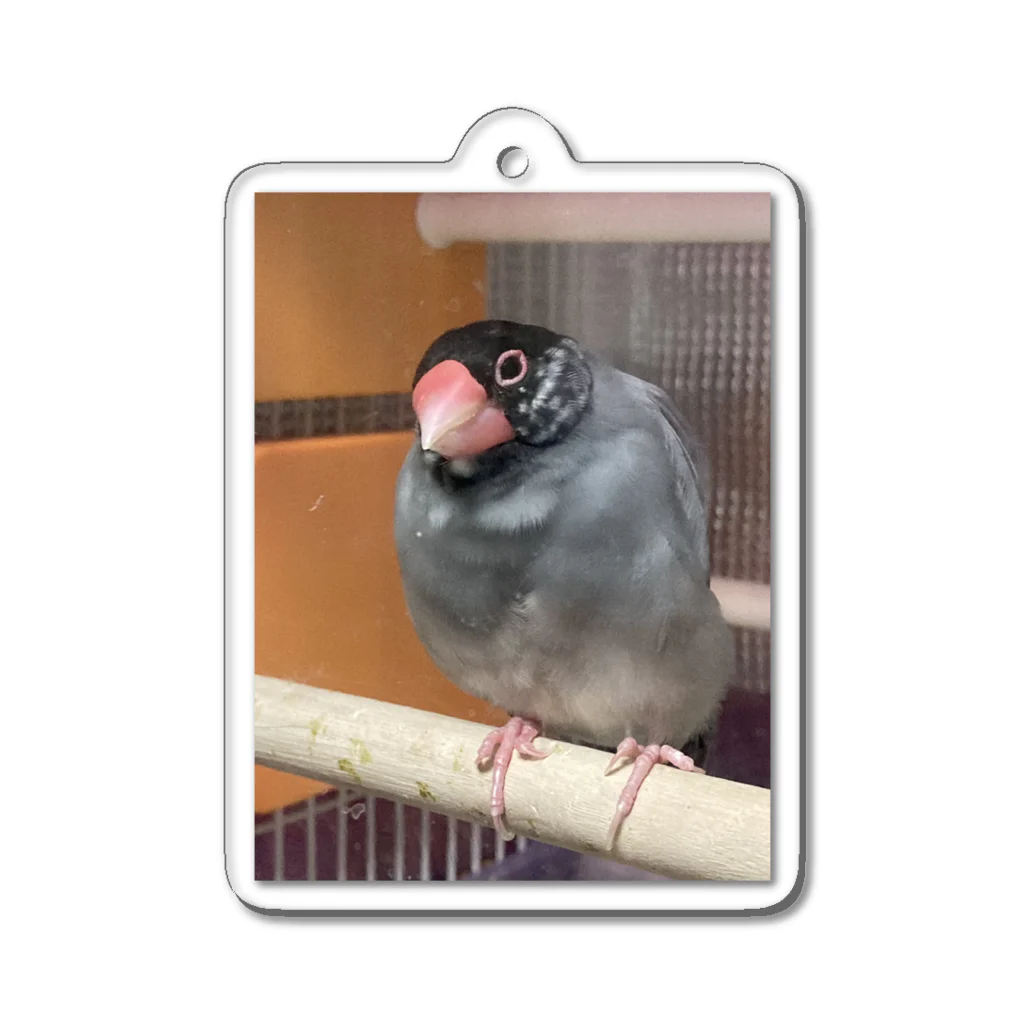 bun666の桜文鳥の文蔵くん Acrylic Key Chain