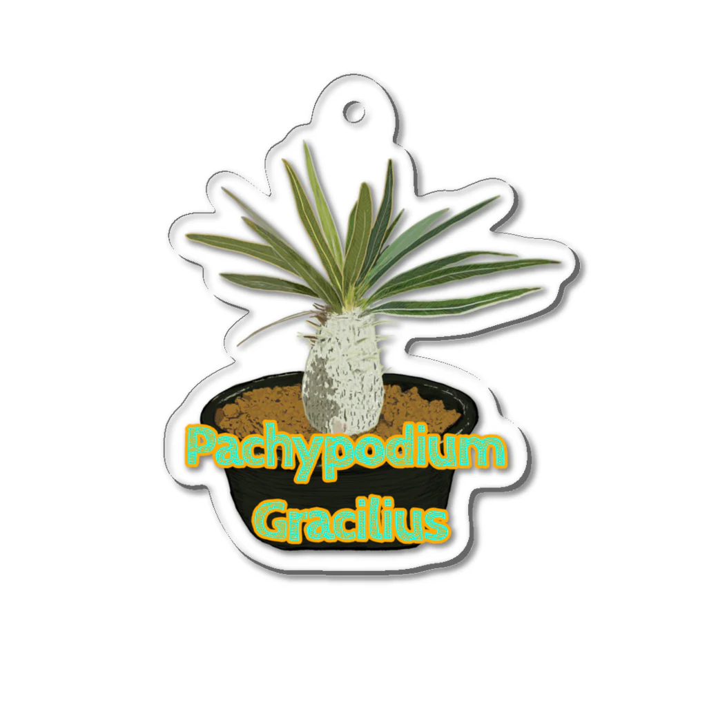 momoのPachypodium Gracilius Acrylic Key Chain