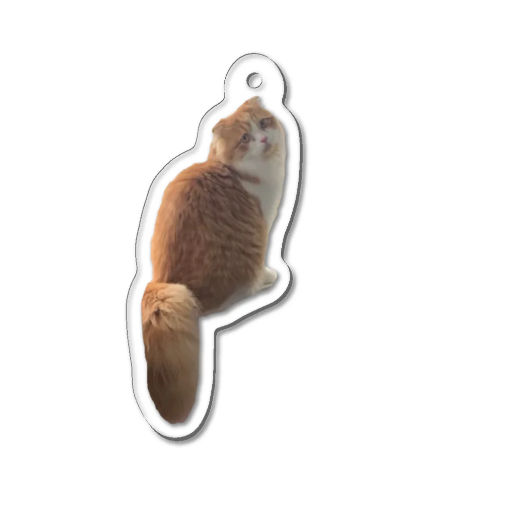 Nekomimiのかわいいねこのくるっぷ Acrylic Key Chain