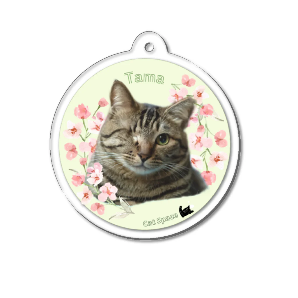 保護猫カフェ Cat Spaceの看板娘 たまちゃん Acrylic Key Chain