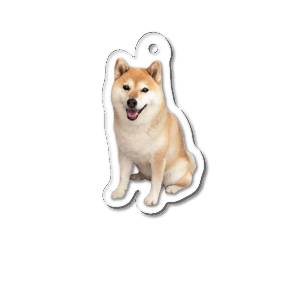 azu azureの柴犬チビちゃん Acrylic Key Chain