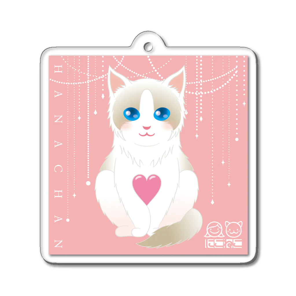 にこねこ【保護猫の保育園】のラグドール華ちゃんキーホルダー Acrylic Key Chain