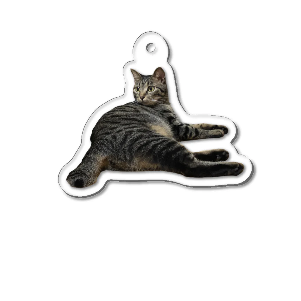 ちびまる一族の乱の猛獣おまるぴぴ Acrylic Key Chain