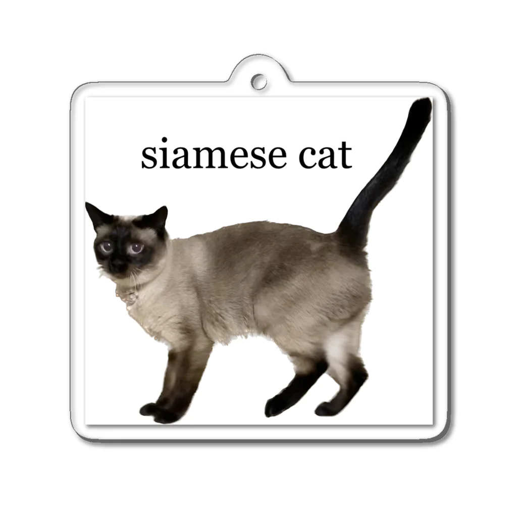 Siamese cat シャムのシャム猫海ちゃん アクリルキーホルダー