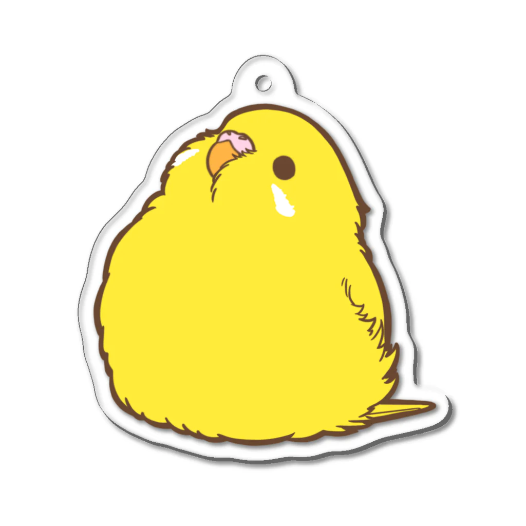 one-naacoの丸いもふ鳥。(セキセイインコ (ルチノー)) Acrylic Key Chain