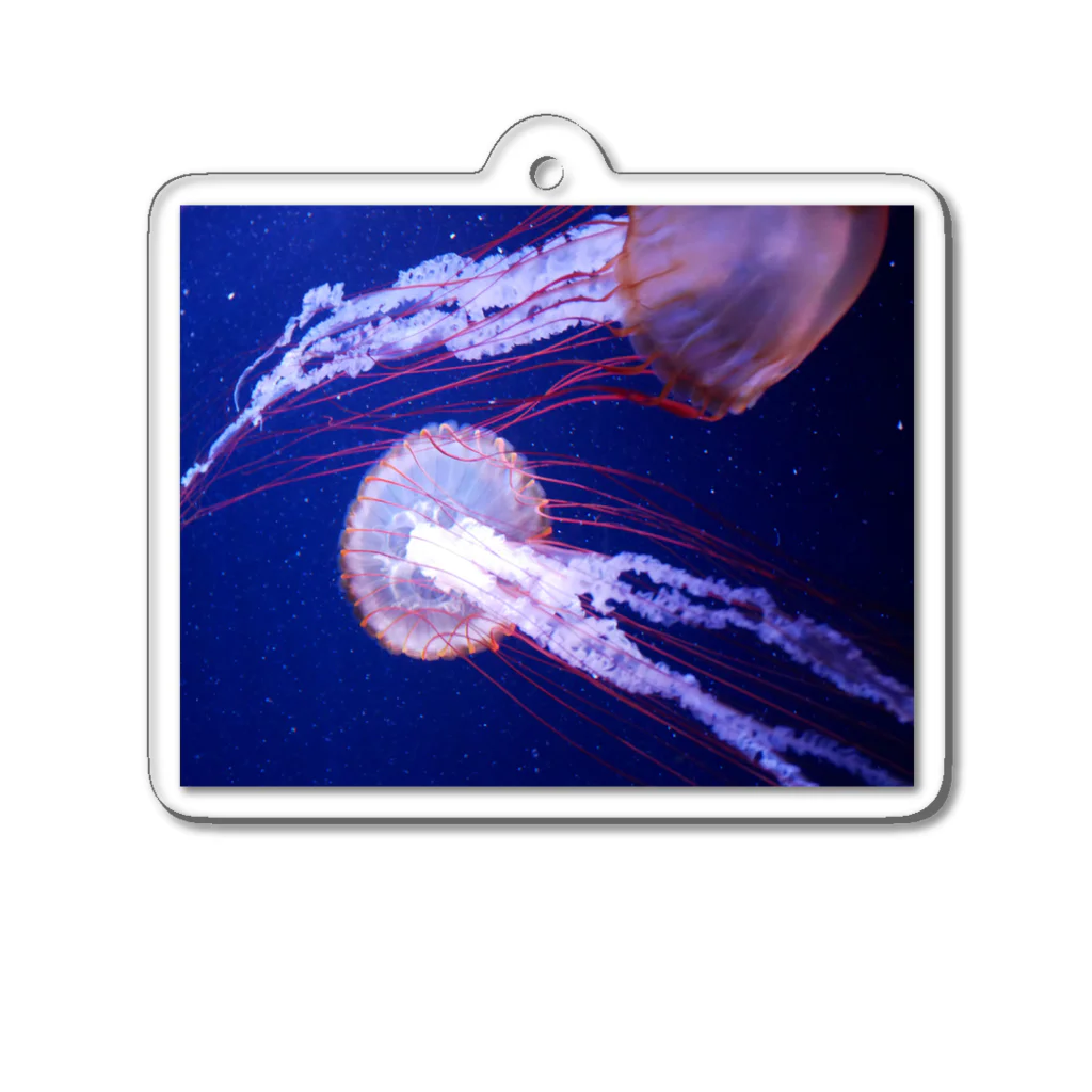 Renaのクラゲ　Jellyfish　２ Acrylic Key Chain