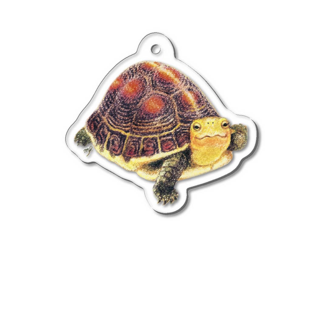 めろんぽっぷのお店だよのせまる！ セマルハコガメ アクキー Acrylic Key Chain