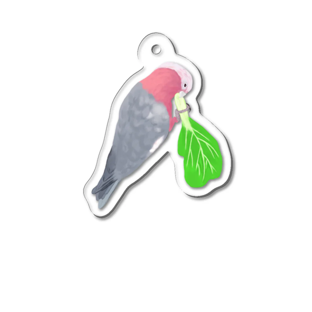 Lily bird（リリーバード）のチンゲン菜食べるモモイロインコ Acrylic Key Chain