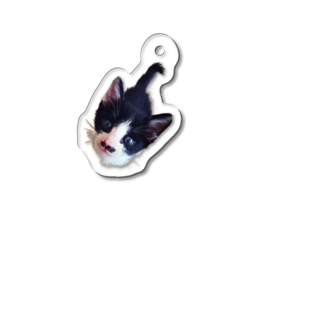 fukunosewagakariのfuku🐱 Acrylic Key Chain