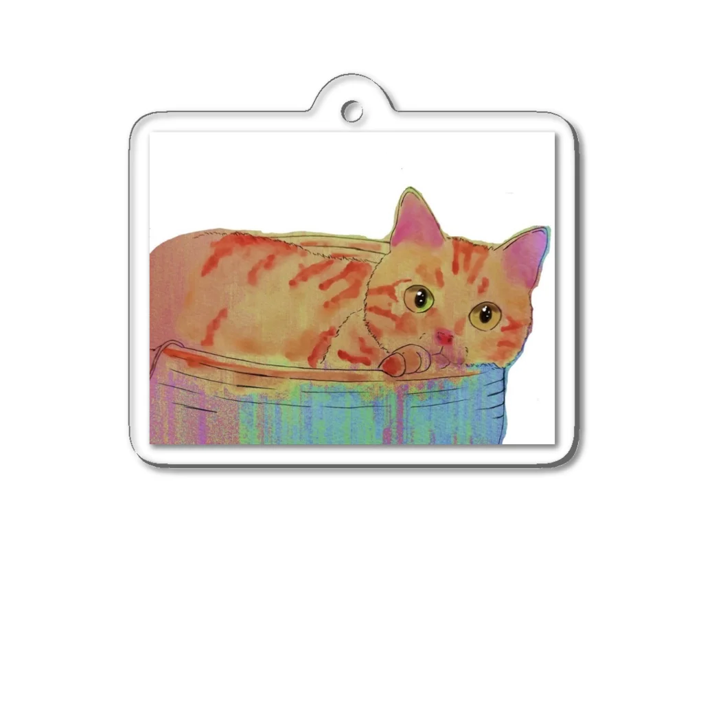 保護猫茶トラ兄弟LIFEのインコちゃん Acrylic Key Chain