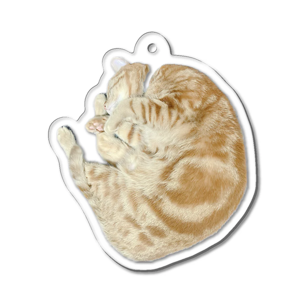 茶太郎🐱とモンブランの茶太郎のニャンモナイトシリーズ Acrylic Key Chain