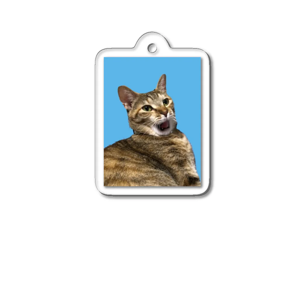 だの猫のタカラチャン Acrylic Key Chain