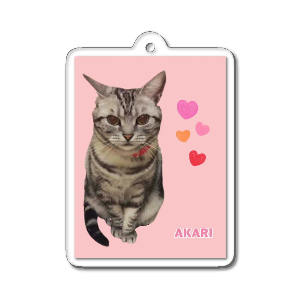 harupink🌸ペット似顔絵illustのアメショのアカリちゃん(REALver) Acrylic Key Chain