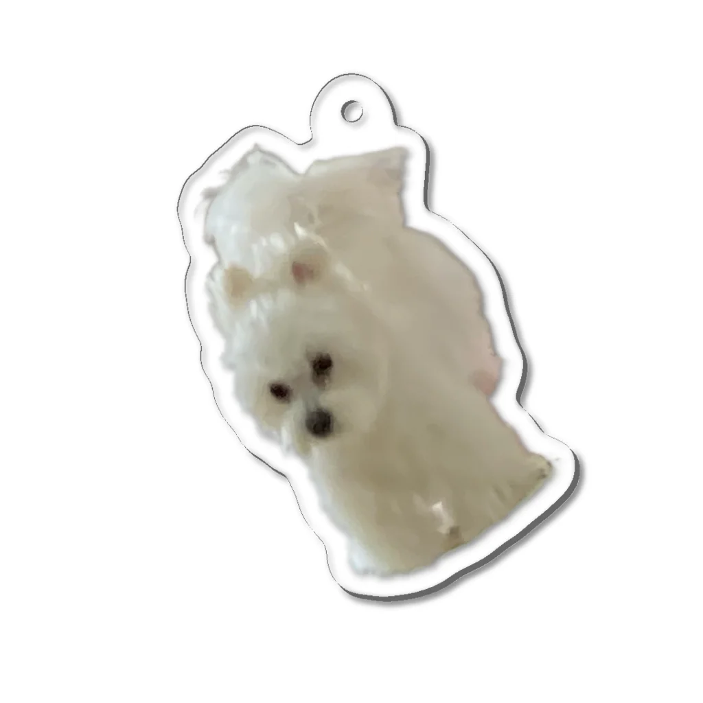 お顔がつよいおいぬ犬さまの倉庫の飛んでもかわいいおいぬ様 Acrylic Key Chain