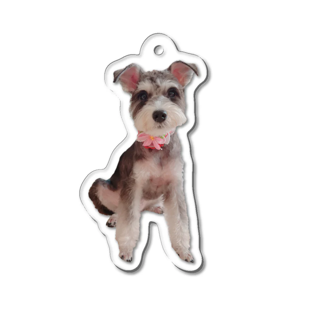 channitoのアフタートリミング犬 Acrylic Key Chain