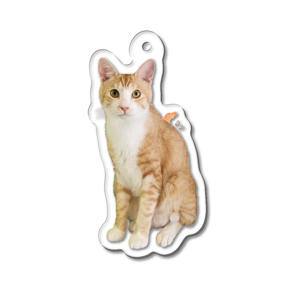 保護ねこの家のいつものラテ王子by黒豆猫 Acrylic Key Chain