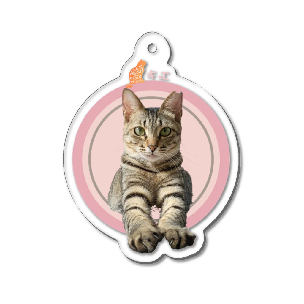 保護ねこの家の飛び出せ！キエちゃんby黒豆猫 Acrylic Key Chain