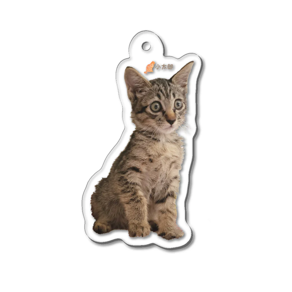 保護ねこの家のいつもおめめまんまる。小太郎by黒豆猫 Acrylic Key Chain