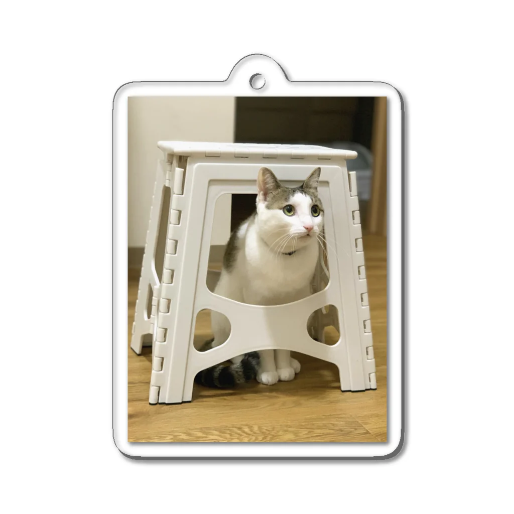 飴色の猫のテオ(かくれてるつもり) Acrylic Key Chain
