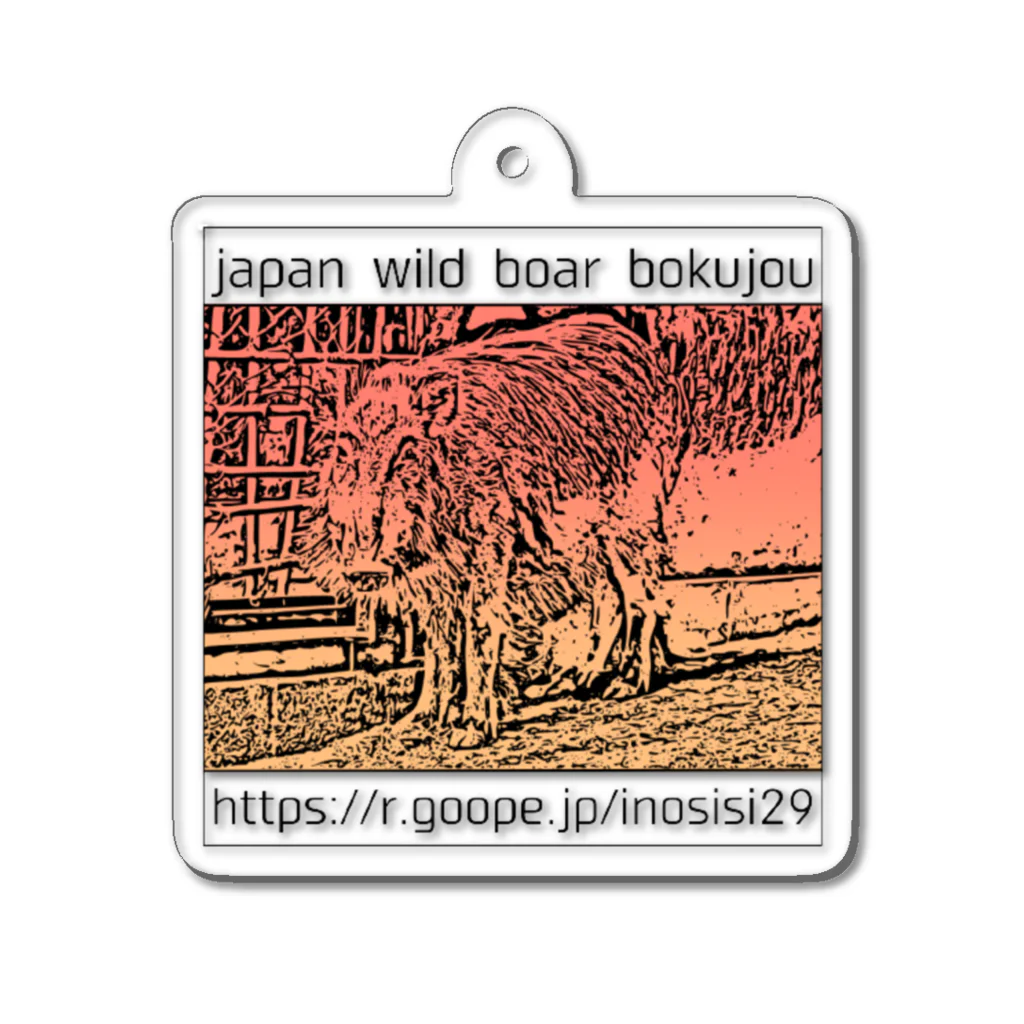 日本猪牧場🐗の牧場ししくん正方形ver アクリルキーホルダー