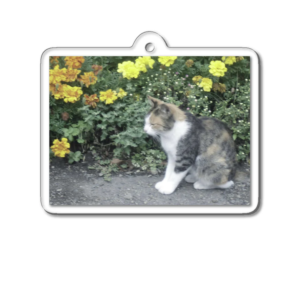 fmnのhometown cat Acrylic Key Chain