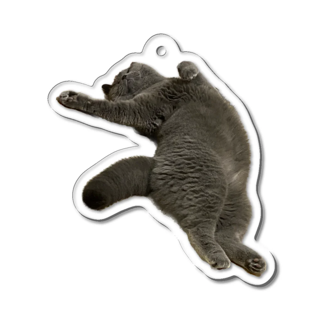 むっちり猫のむっちり丸のお腹ぽっこりむっちり丸 Acrylic Key Chain