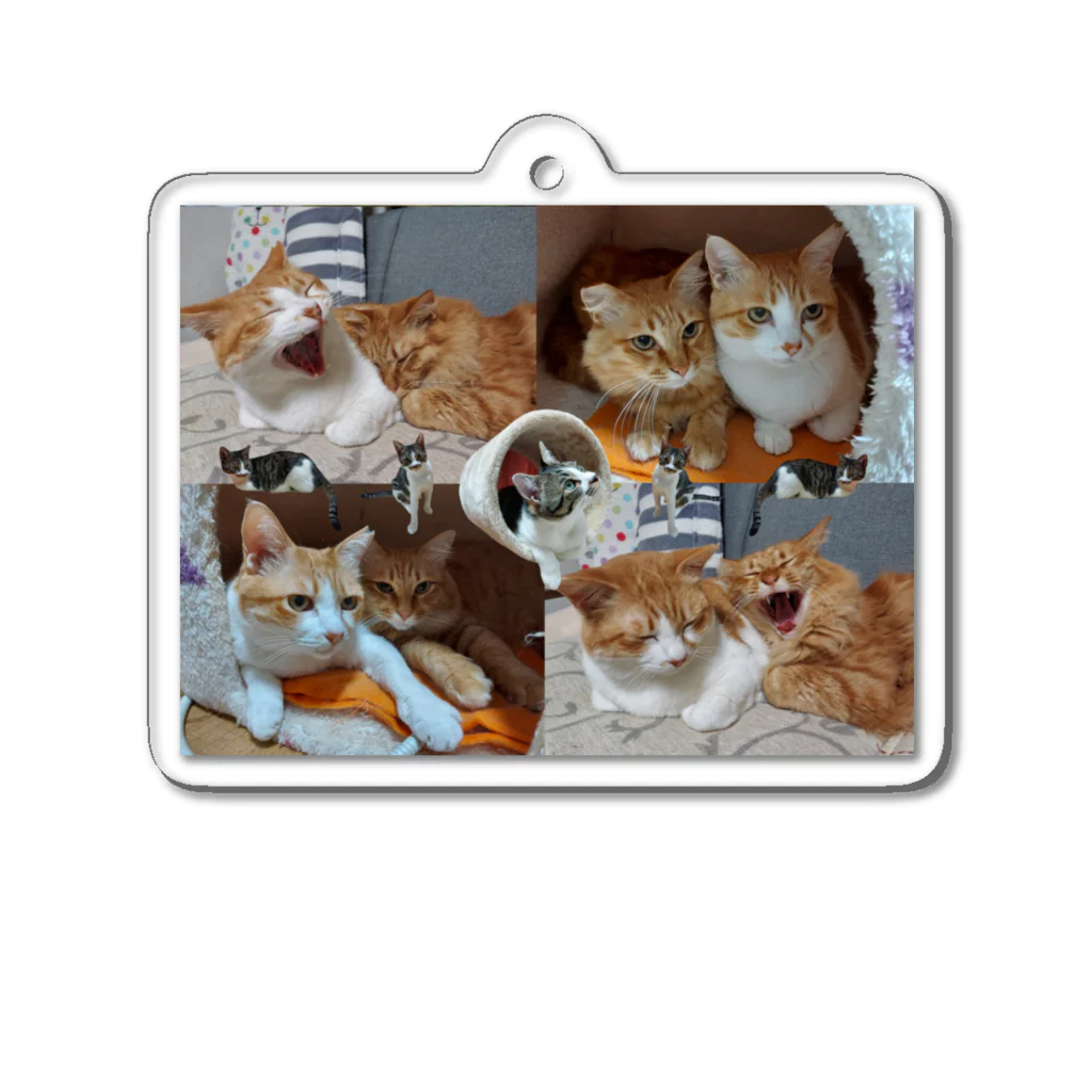 かぶとちょものかぶちょもぐーぐー(=^..^=)(=^..^=)(=^..^=) Acrylic Key Chain