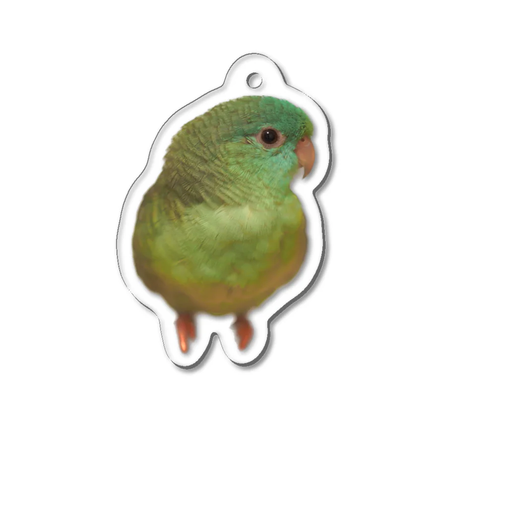 crawling0chaosのサザナミインコのルリくん（だるま） Acrylic Key Chain