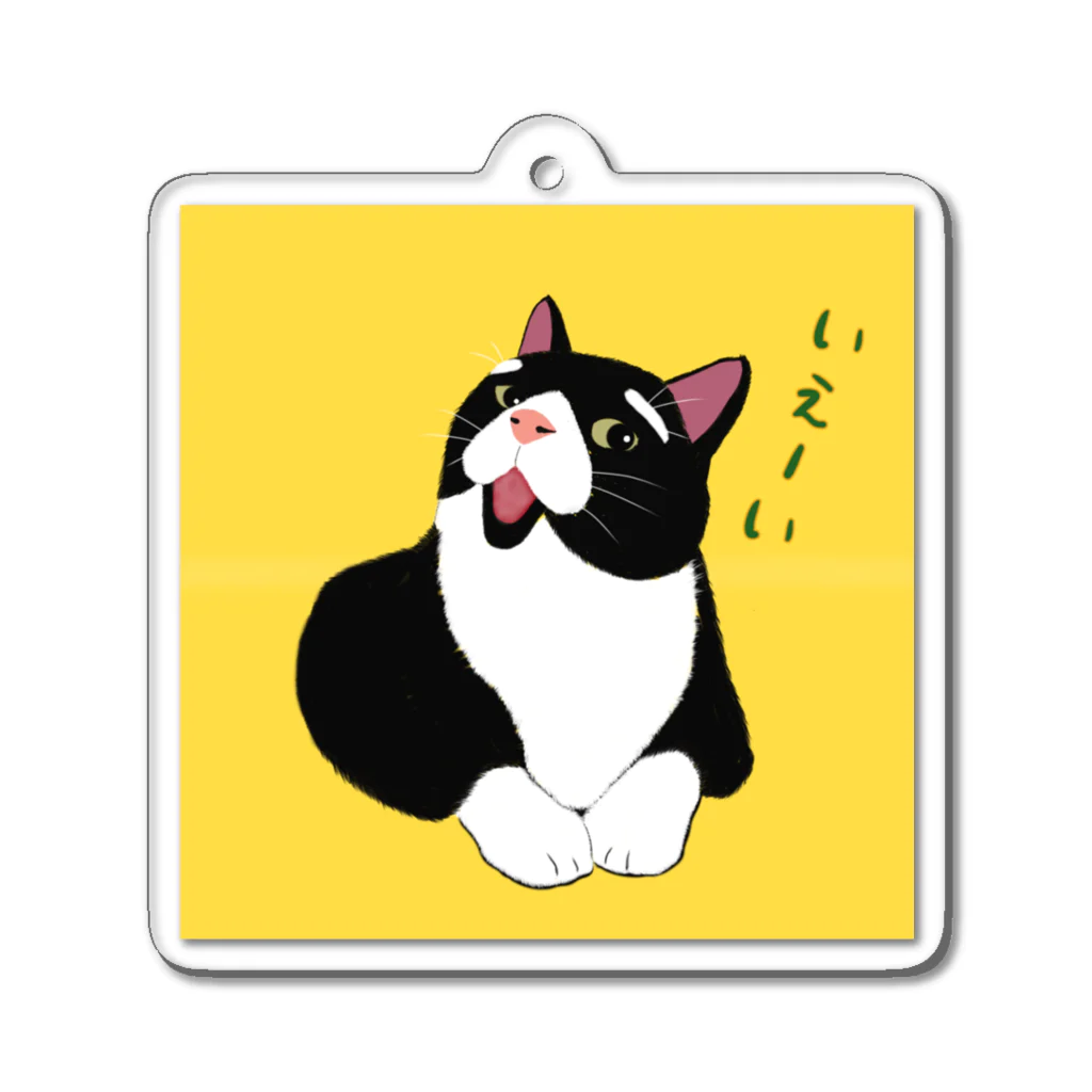 穏やかな猫の穏やかな猫 Acrylic Key Chain