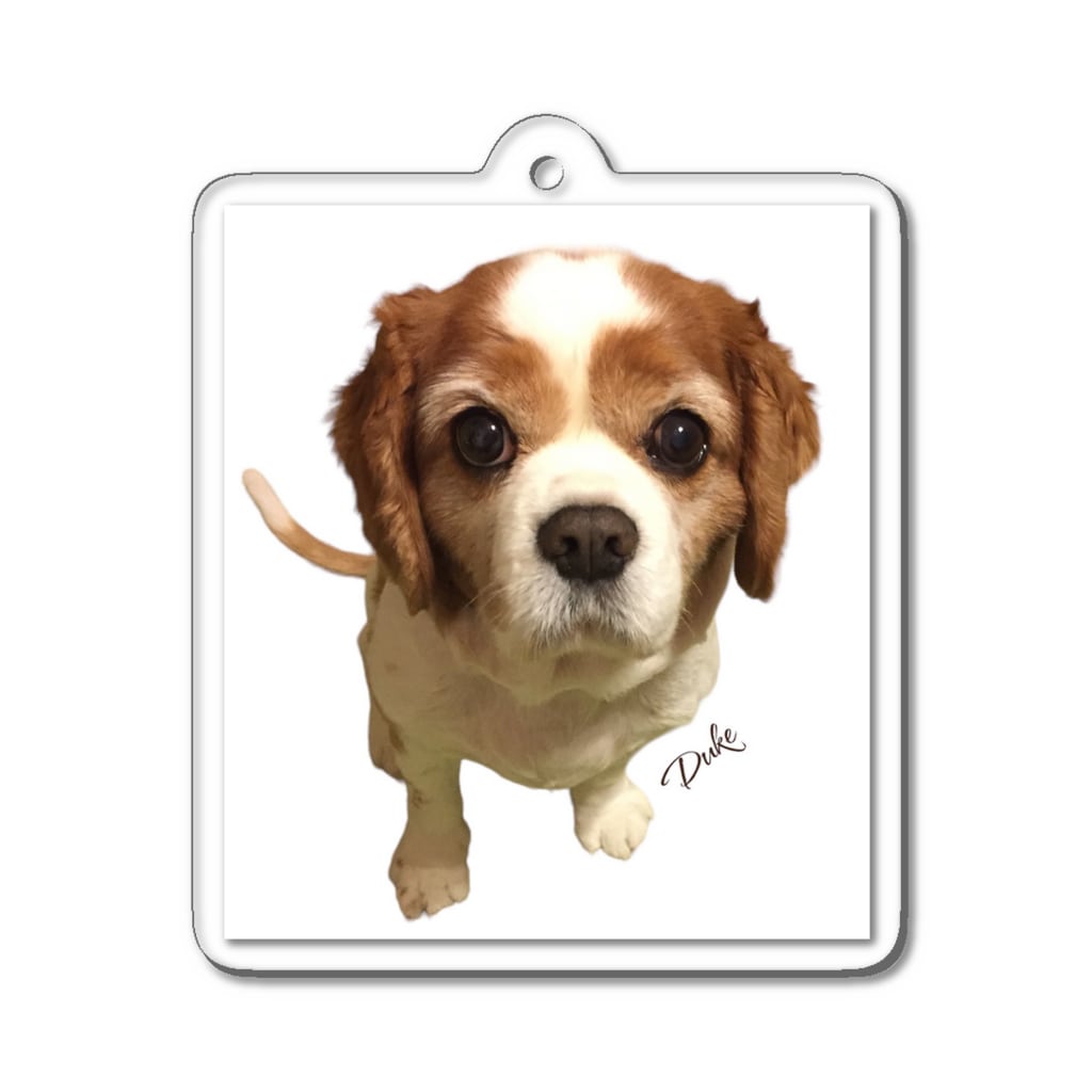 Tom's storeのデュークさん Acrylic Key Chain