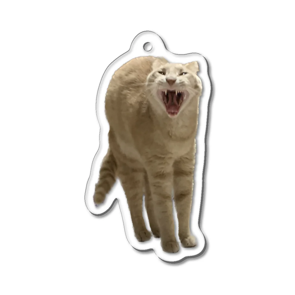 茶トラねこずのあくび猫のシロ Acrylic Key Chain