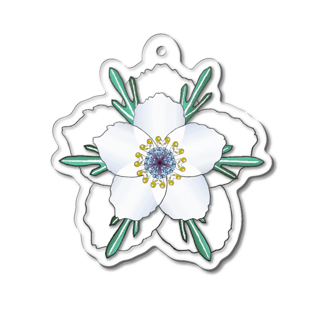 アデニウム(花・植物)のセツブンソウ(節分草) Acrylic Key Chain