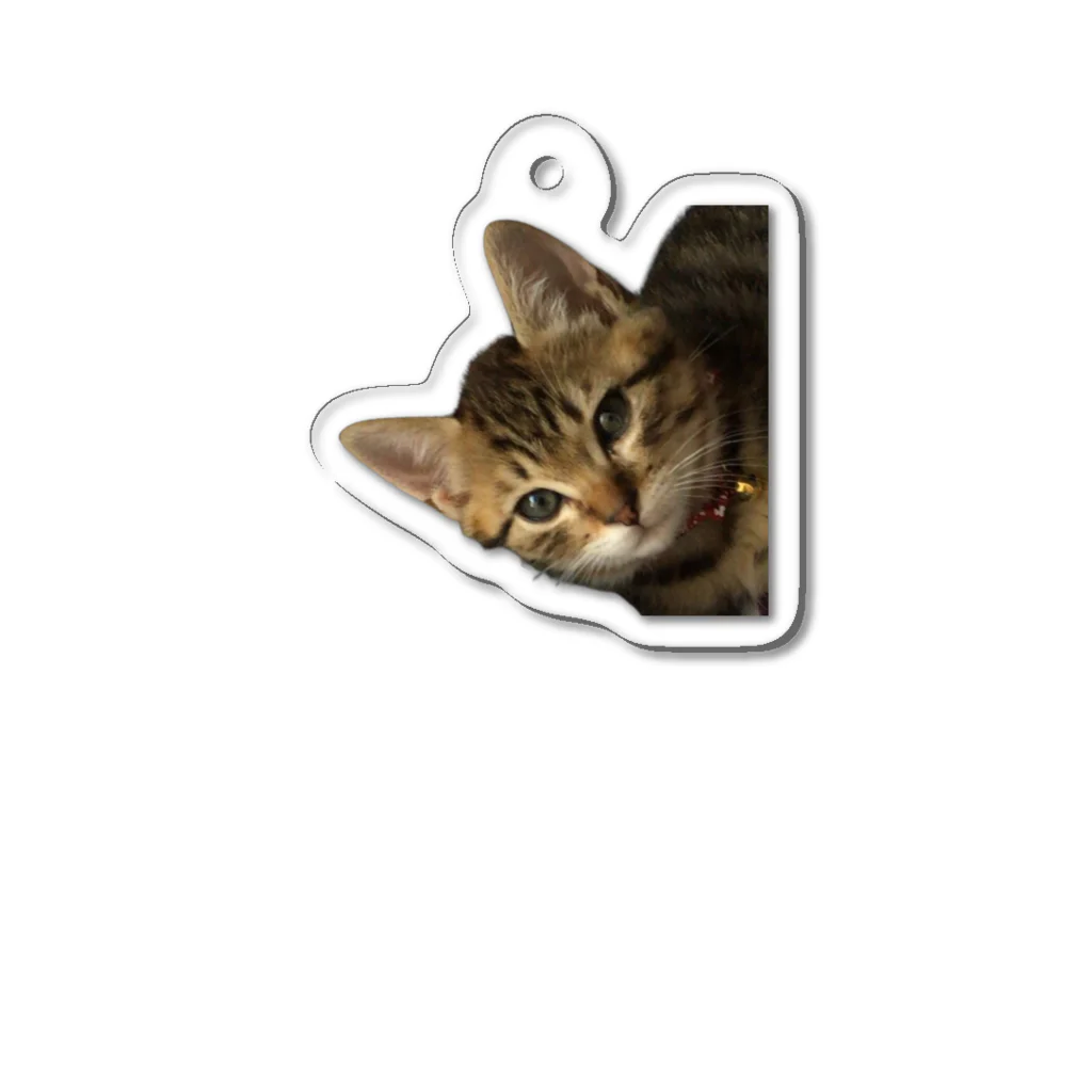 とらねこのリョウくんのきじとらのジンくん Acrylic Key Chain