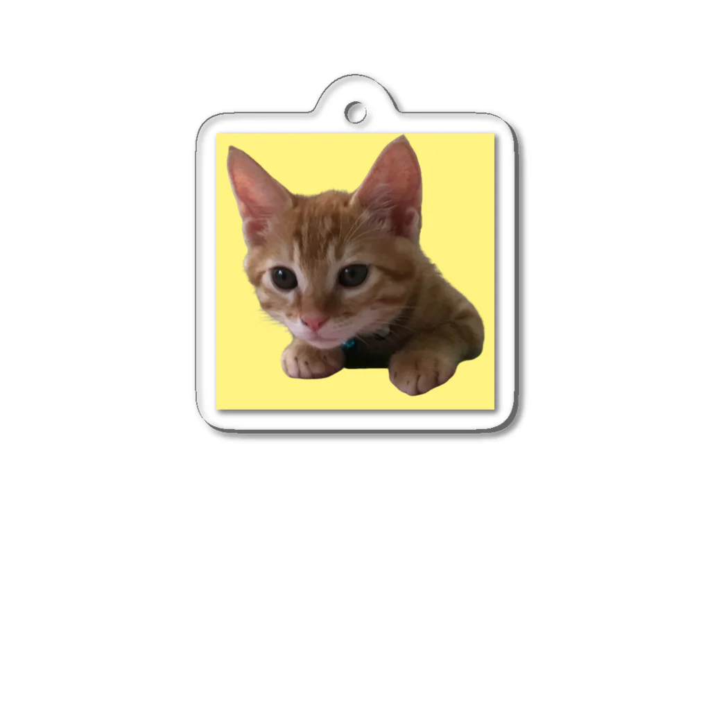 とらねこのリョウくんのとらねこのリョウくん　ひょっこり Acrylic Key Chain