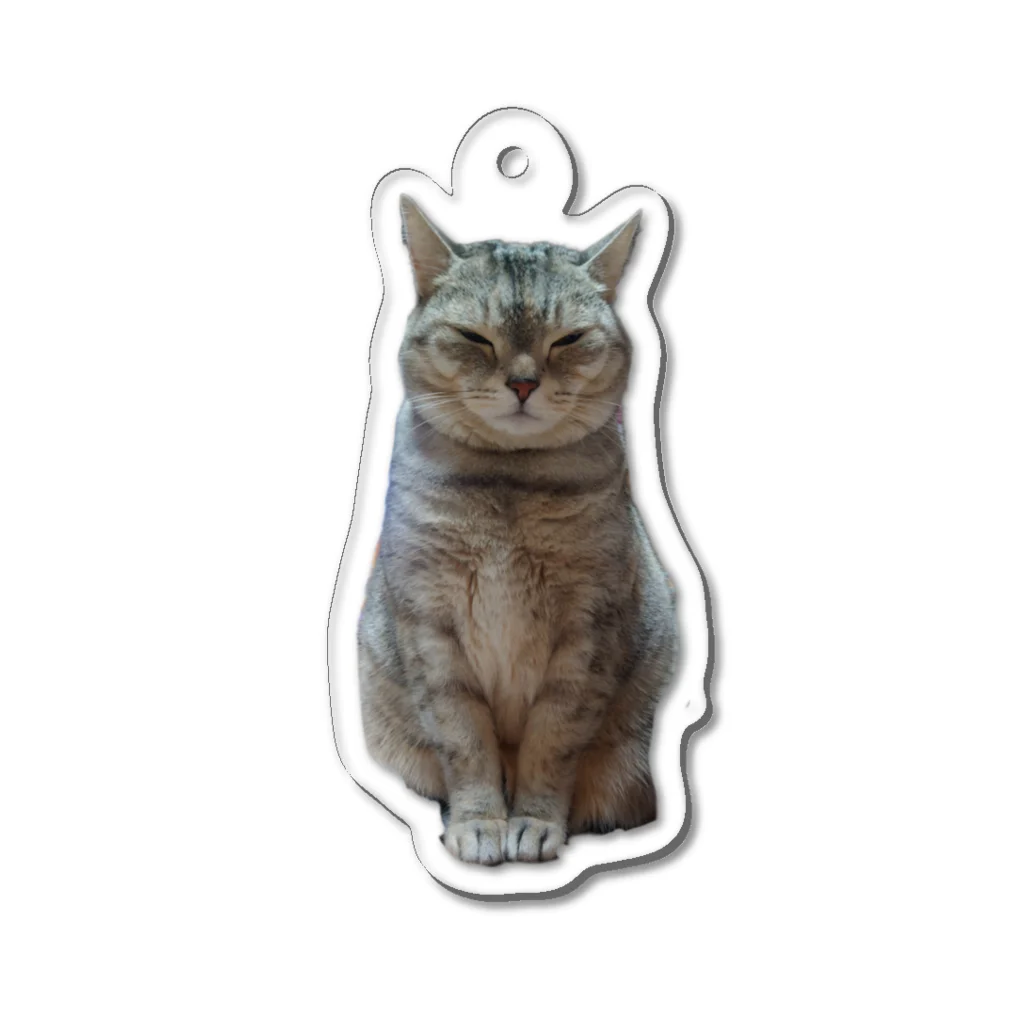 参@Silvapp応援垢の猫といっしょ 〜ちょんた〜 Acrylic Key Chain