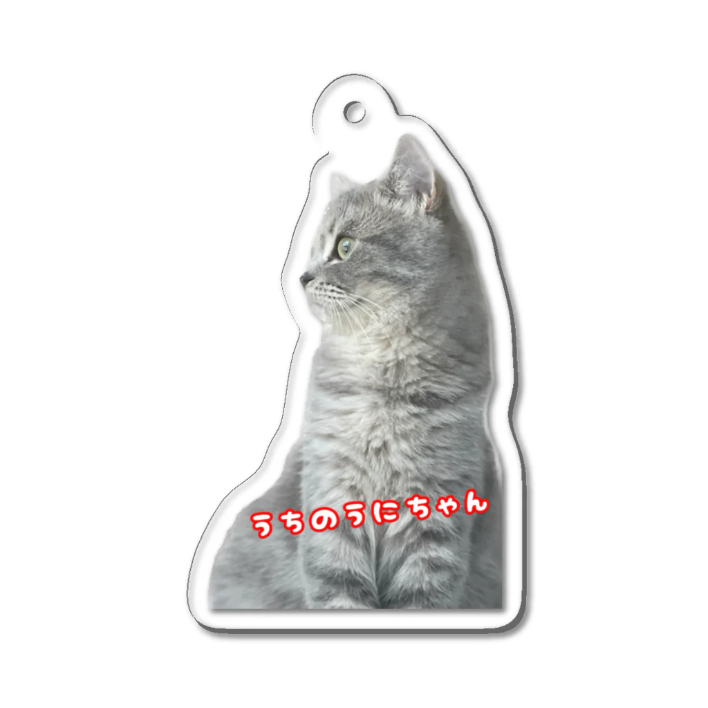 だいふくやのうちのうにちゃん Acrylic Key Chain