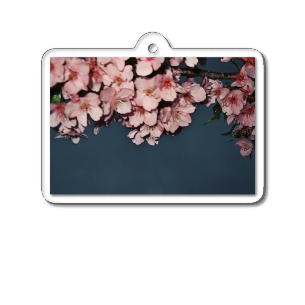 フィルムカメラ屋さんのボケた桜 Acrylic Key Chain