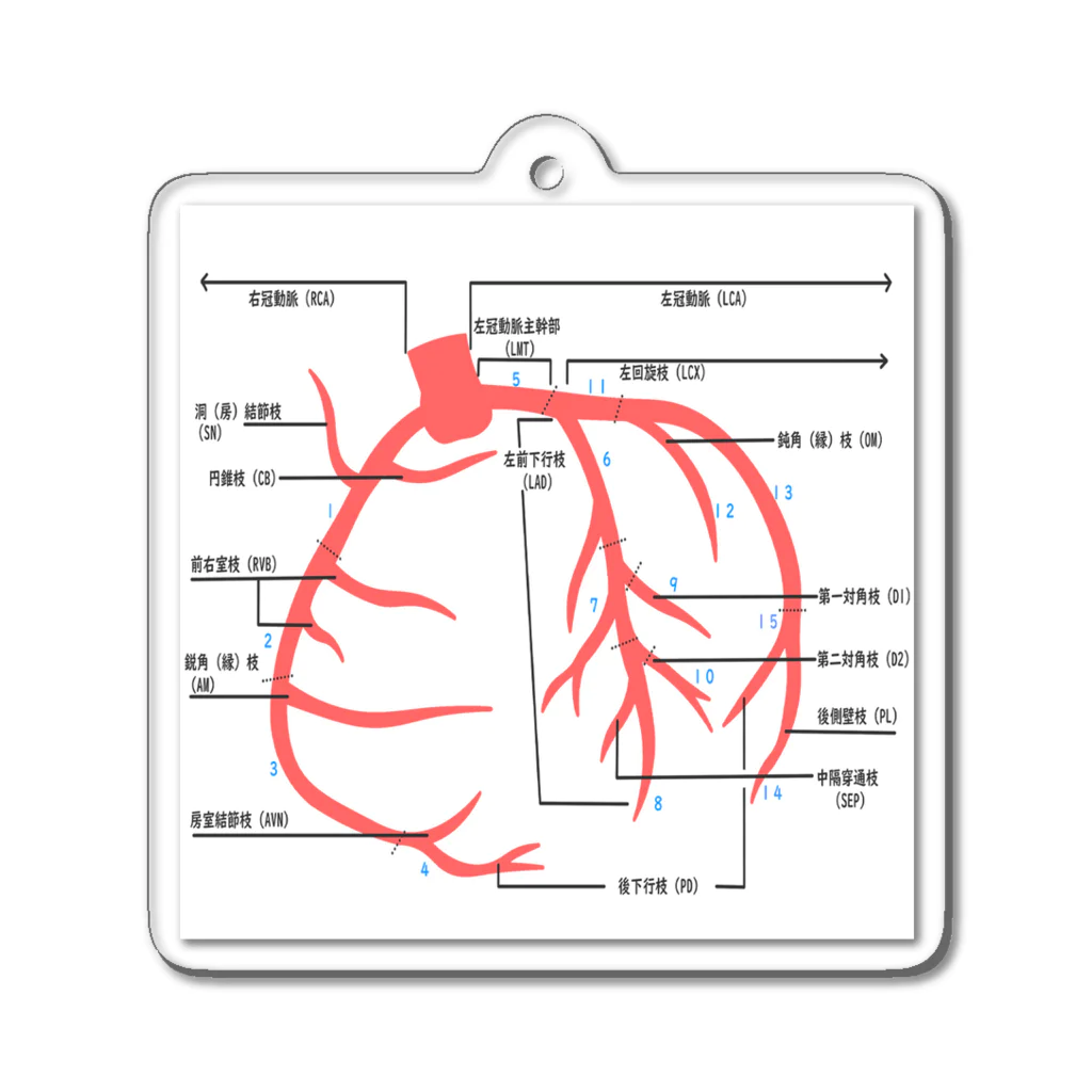 ゆんちるのとにかく冠動脈！ アクリルキーホルダー