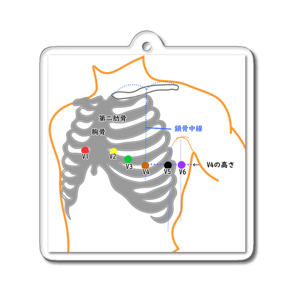 ゆんちるの12誘導心電図電極装着部位アクスタ！ アクリルキーホルダー