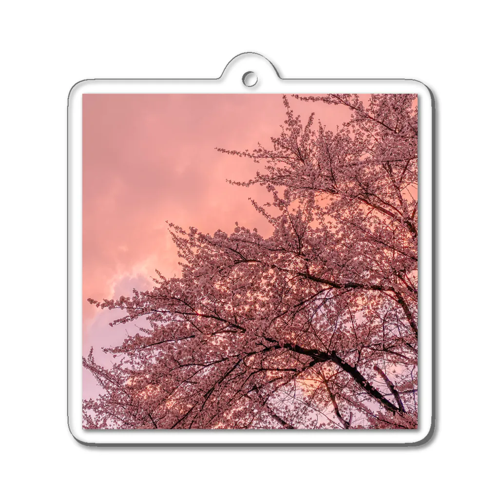 むむの夕桜 Acrylic Key Chain