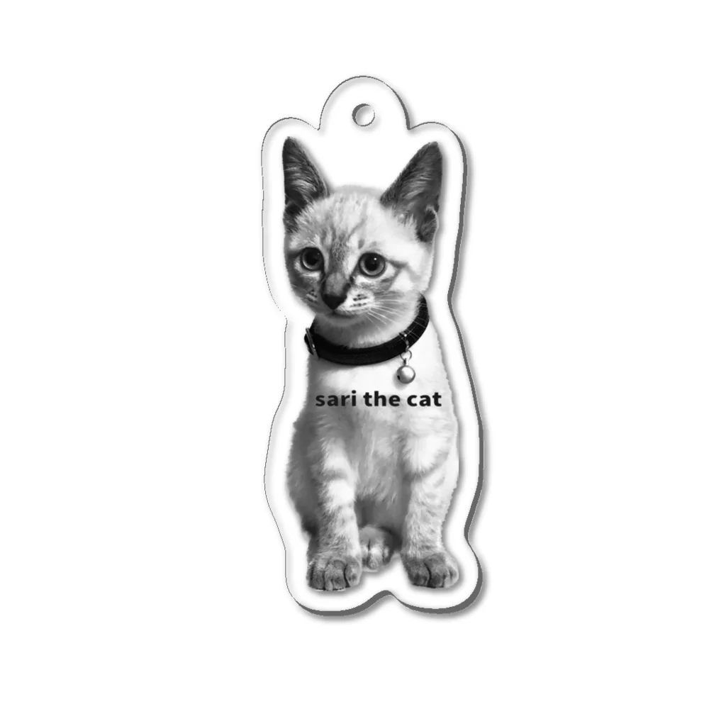 sari the catのsari the cat Vol.2 Acrylic Key Chain