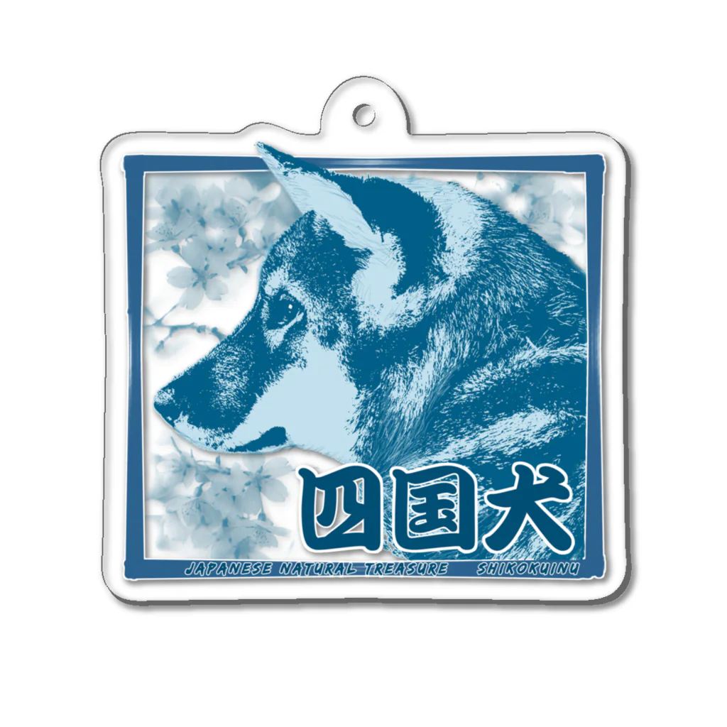 【モルモット】Mugi & Ruki【四国犬】の天然記念物 四国犬ちゃん ─Japanese natural treasure Shikoku dog ─ Acrylic Key Chain