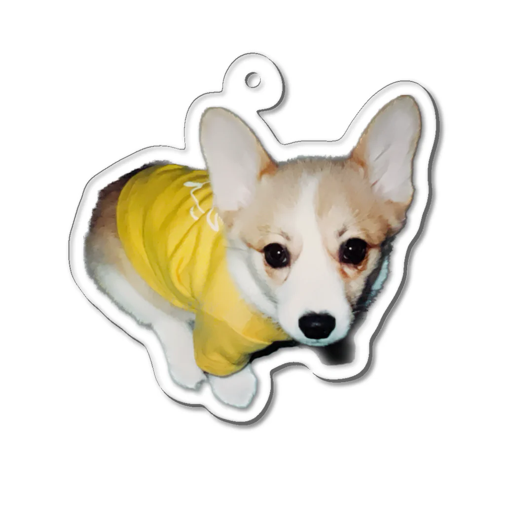 corgimaniaのコーギーbelle_3 アクリルキーホルダー