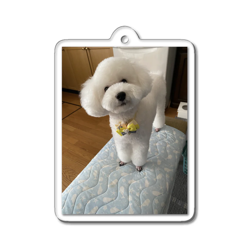 eluberryのTOYザラス Acrylic Key Chain