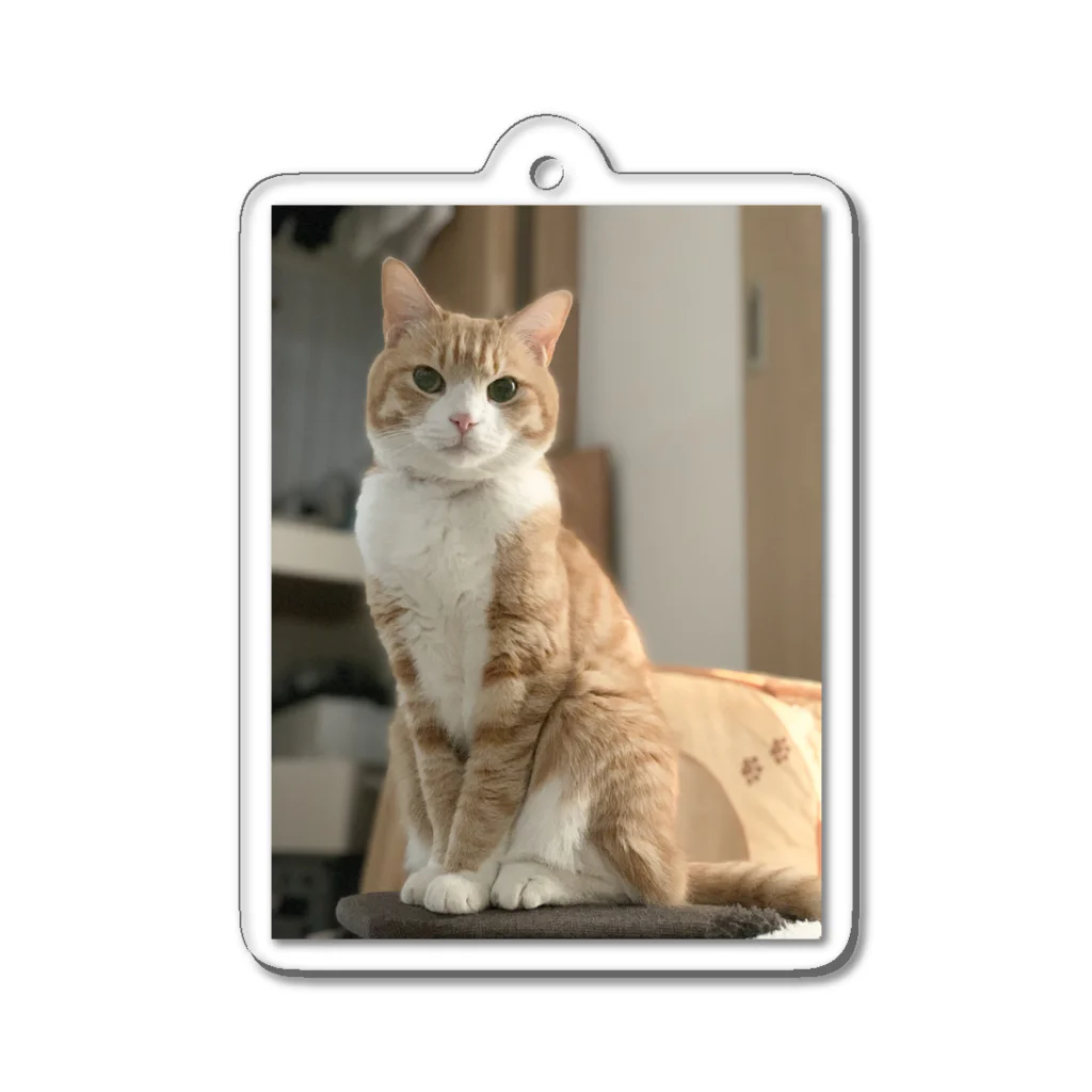 飴色の猫のチロル Acrylic Key Chain
